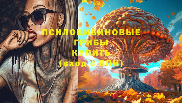 крисы Осинники