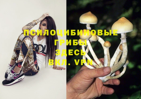 бошки Гусев