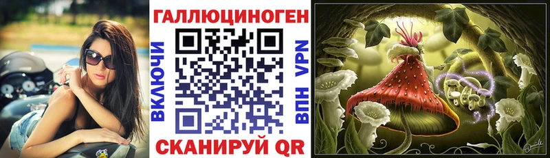 Псилоцибиновые грибы мицелий  Осинники 