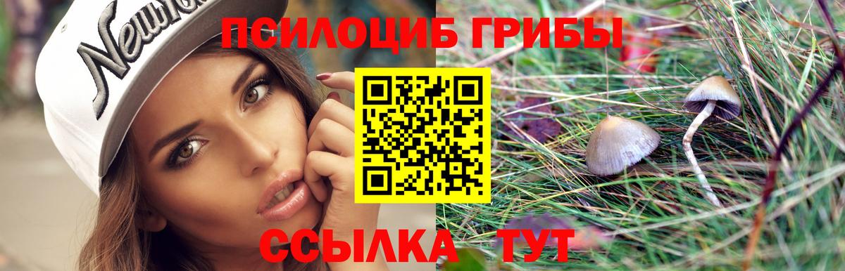 Галлюциногенные грибы мухоморы  Галлюциногенные грибы Psilocybine cubensis  Осинники  Вход с VPN 