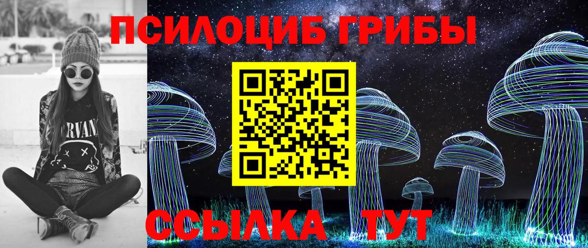 Псилоцибиновые грибы Cubensis Осинники